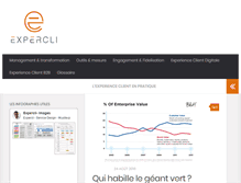 Tablet Screenshot of expercli.com
